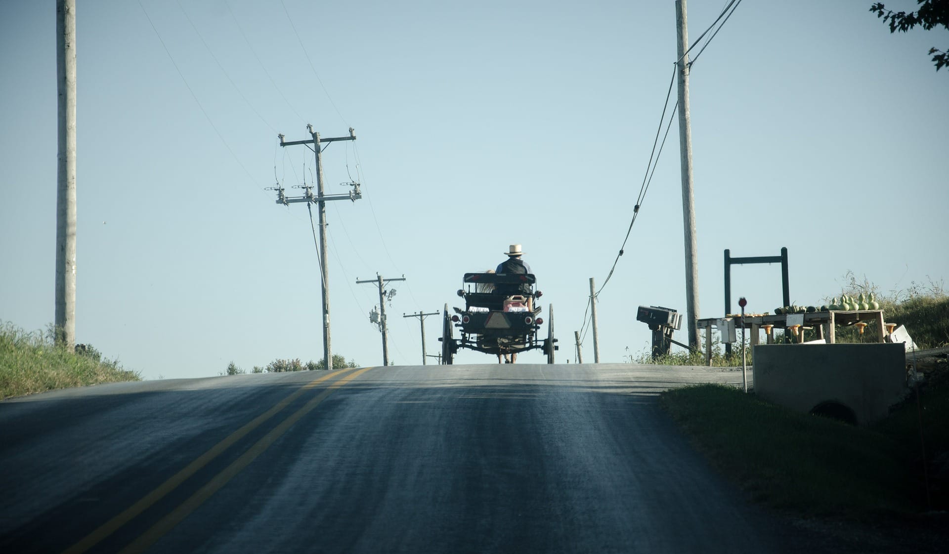 The Amish, a potential sustainable-living model