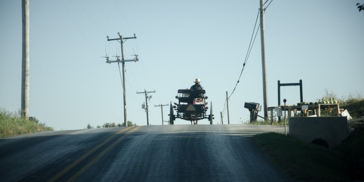 The Amish, a potential sustainable-living model