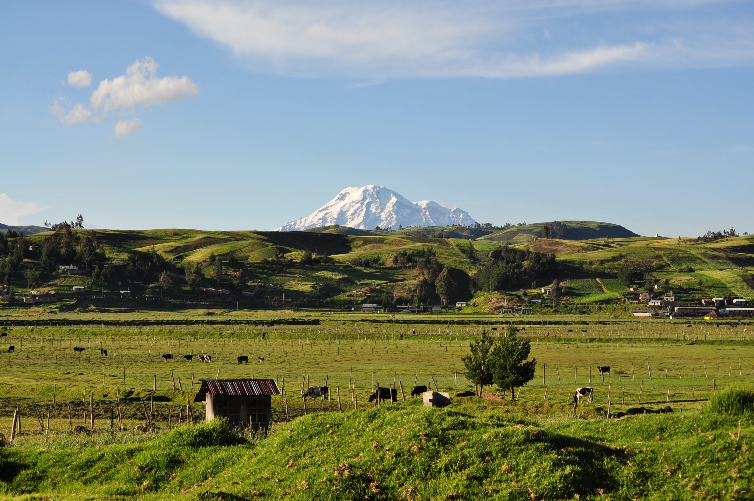 Jorge Samaniego FAO Ecuador