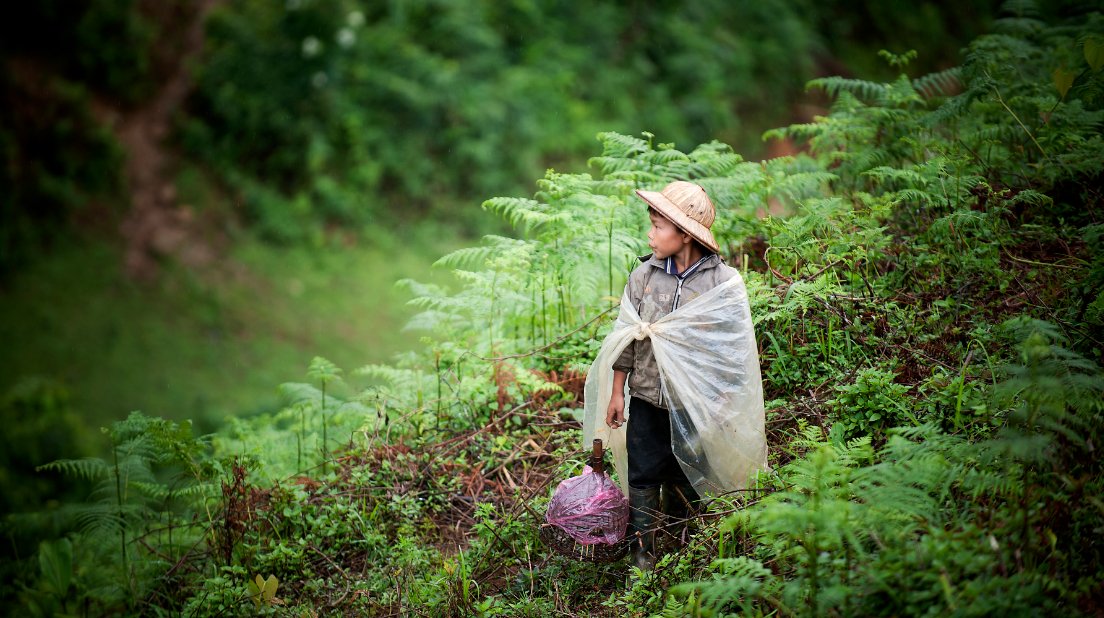 SDGs: the tyranny of an acronym?