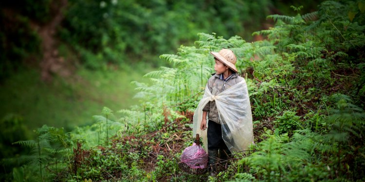 SDGs: the tyranny of an acronym?