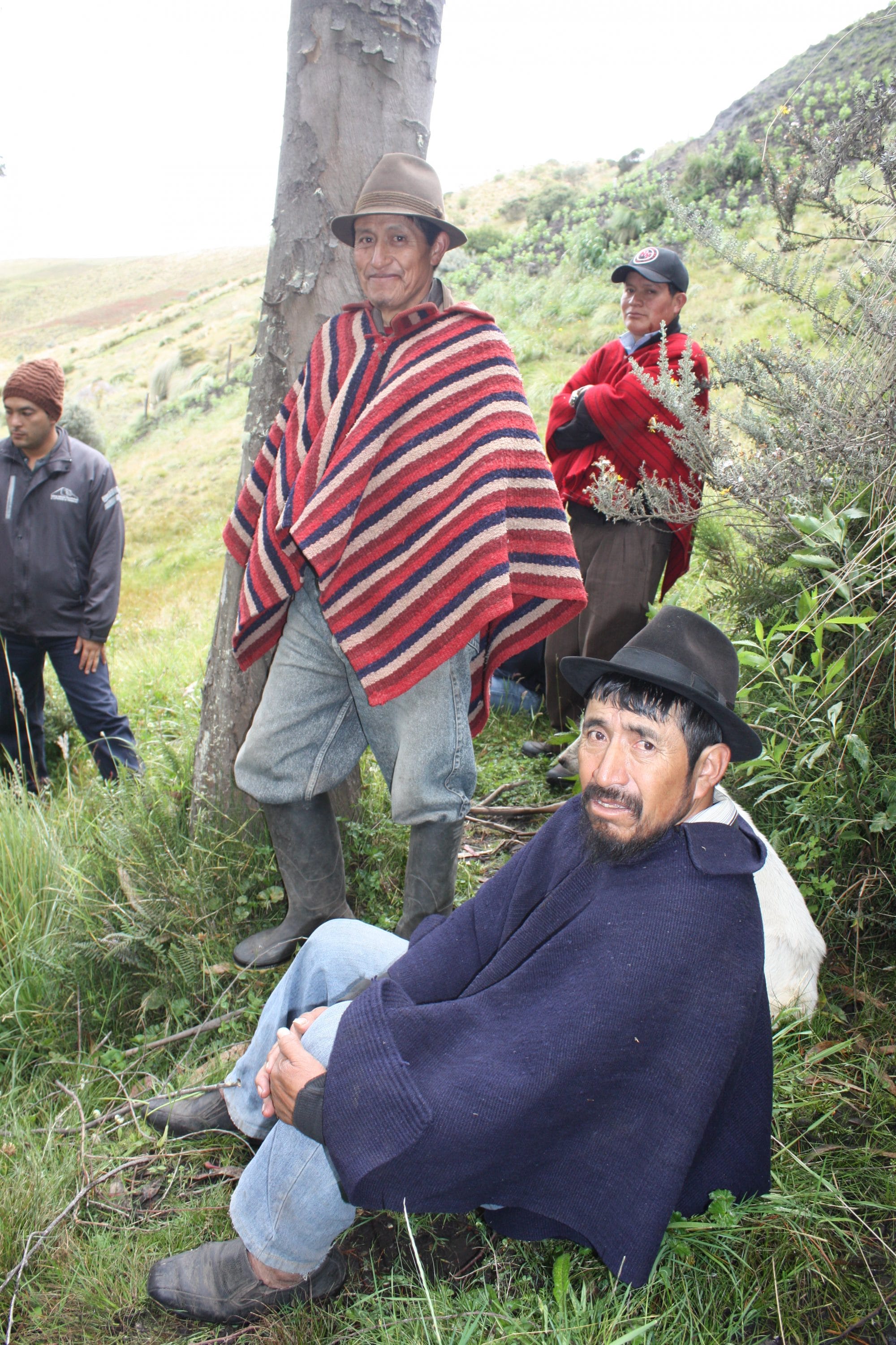 Thomas Hofer FAO (FOA) 11