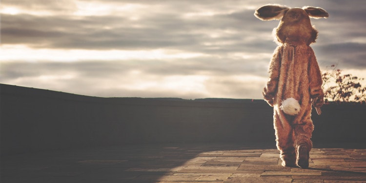 Lily Blacksell Not Now Rabbit Impakter Poetry