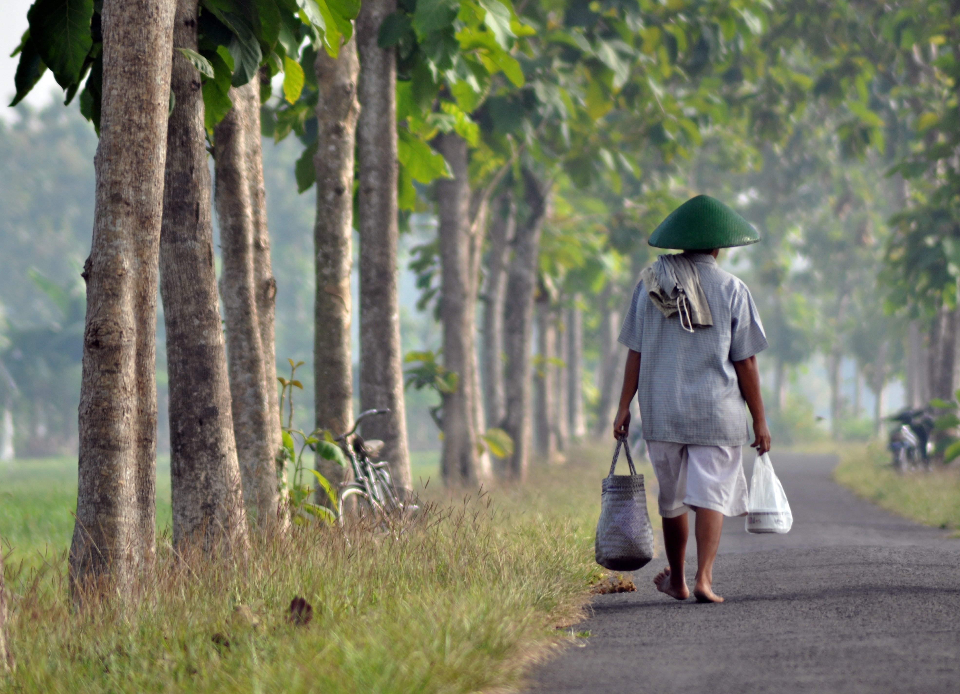 sdg6-un-forest-photo-competition-impakter sdg6-un-forest-photo-competition-impakter