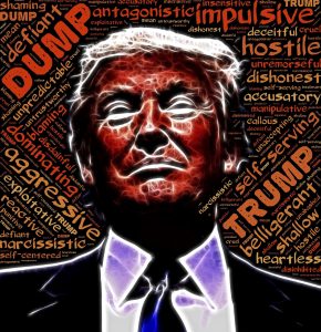 johnhain pixabay trump impakter