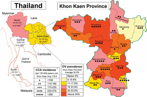 thailand-khon kaen-precipitation-sdg6-ov 