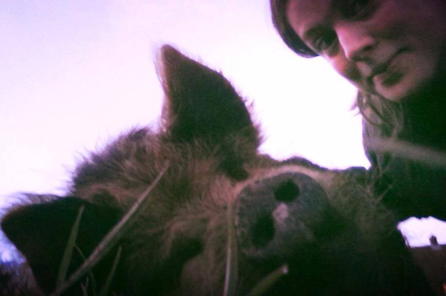 The poet and the pig