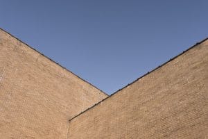 Trump, Wall, Migration, Impakter