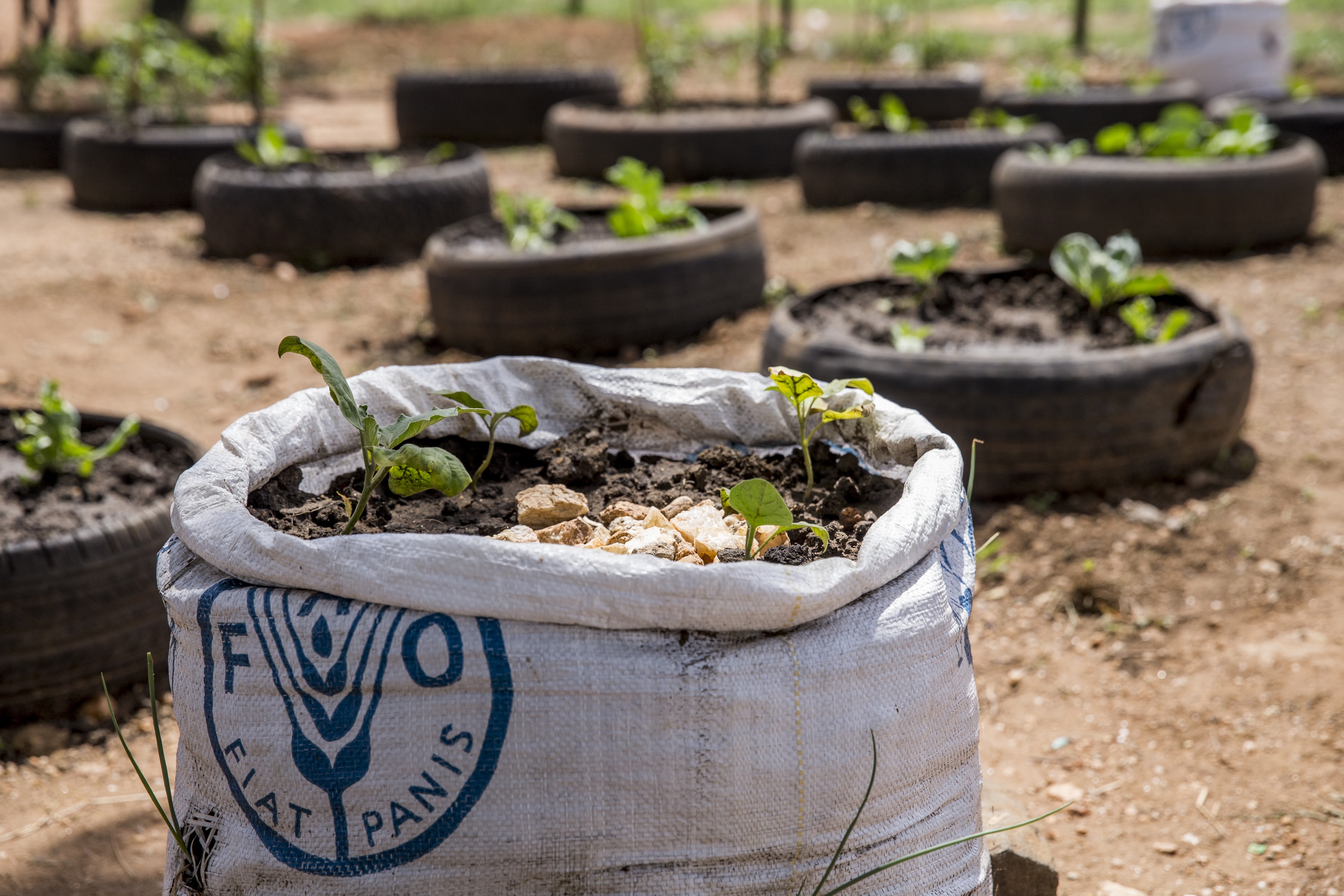 The Strategic Value of Pooled Funds in Development