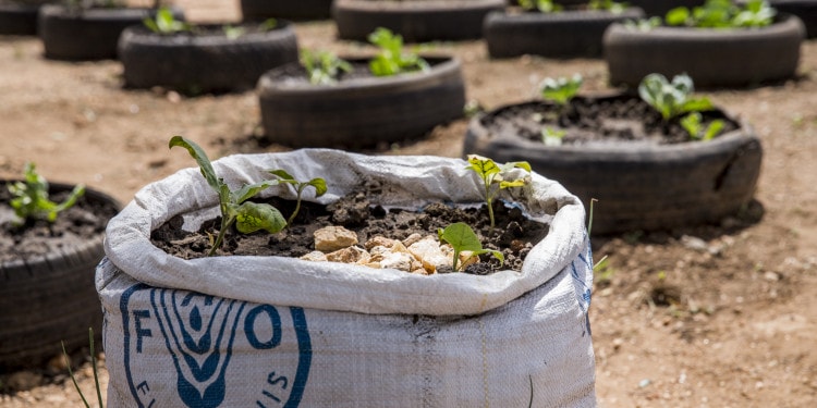 The Strategic Value of Pooled Funds in Development