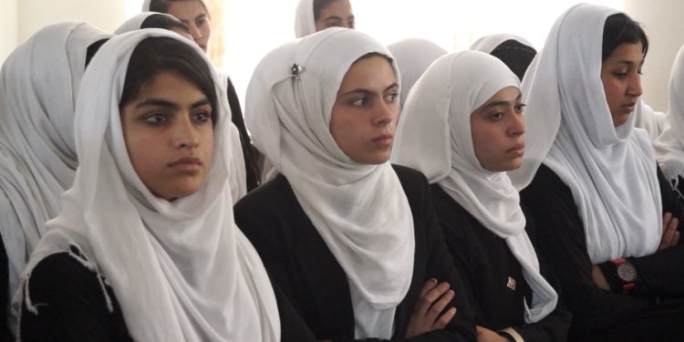 Digital Citizen Fund Impakter