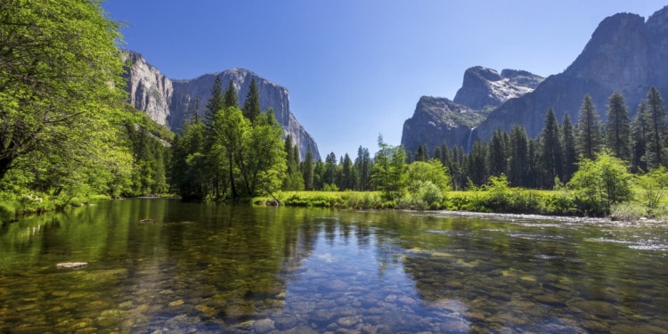 Unilever Acquires Seventh Generation: What This Means for Sustainable Business