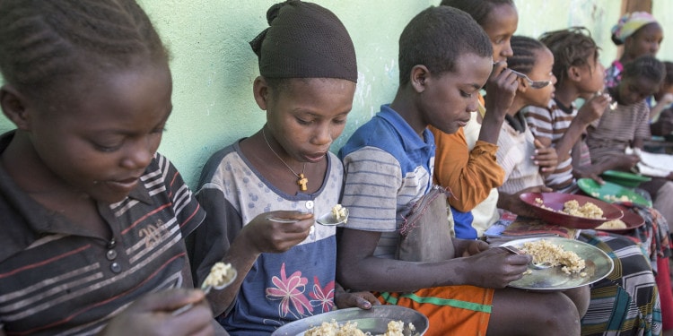 fao-food-security-africa-trust-fund-fao