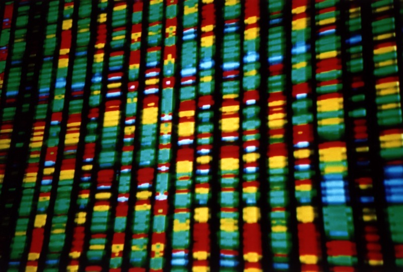 dna-representation-bioethics-human-genome-genetic