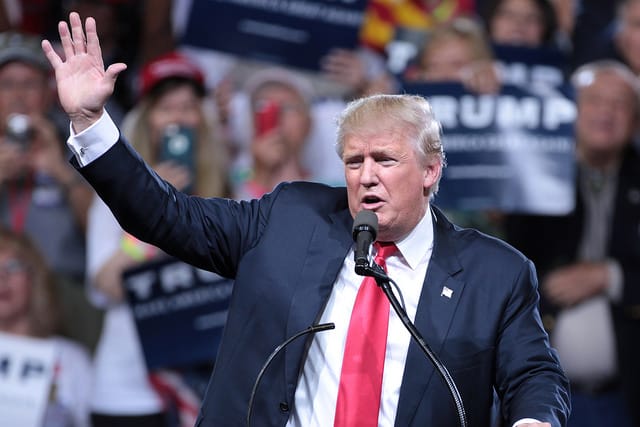 2016: The Year in Review and What to Expect in 2017