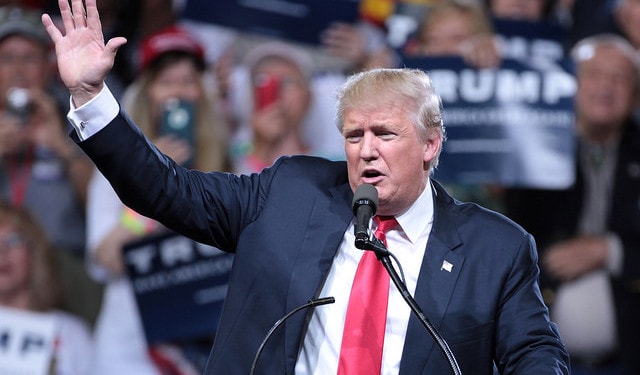 2016: The Year in Review and What to Expect in 2017