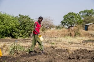 Photos documenting farmers on the outskirts of Juba. The Food and Agriculture Organization (FAO) has been working with Daughters of Mary Immaculate (DMI) Archdiocese of Juba's Integrated Community Development Programme distributing seeds throughout the community to give the community the ability to sustain themselves better and to depend less on the markets. DMI has also been offering training on farming at their compound in Gudele; trainees then take the skills learned back into the community