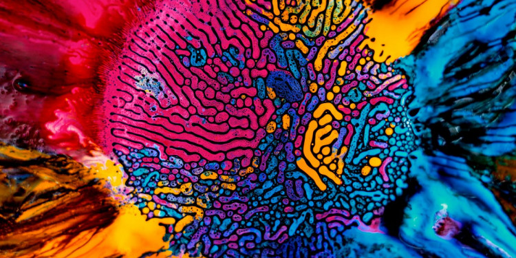 Psychedelic Science: Interview with Fabian Oefner