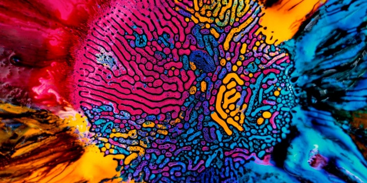 Psychedelic Science: Interview with Fabian Oefner