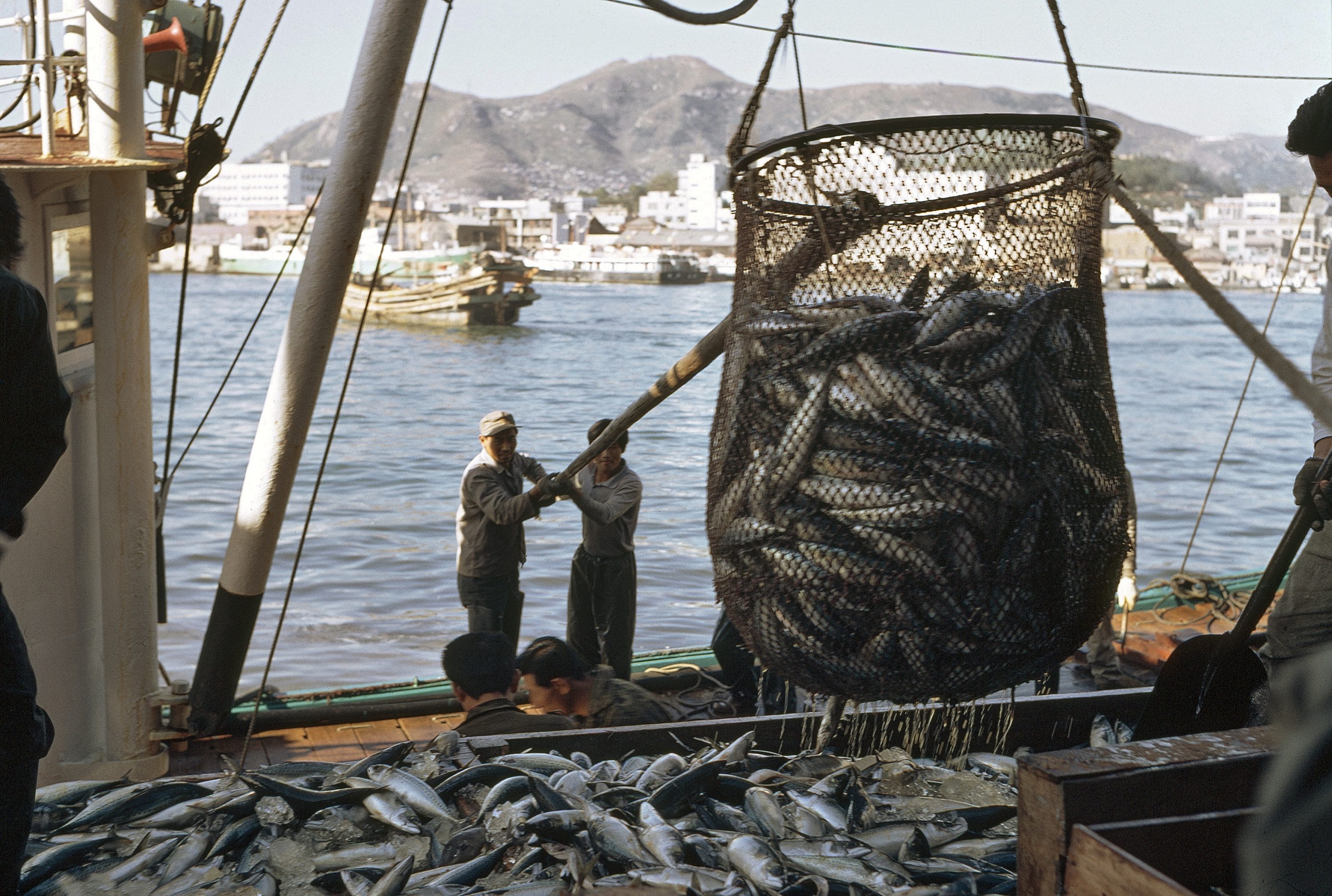 Second Phase Digital