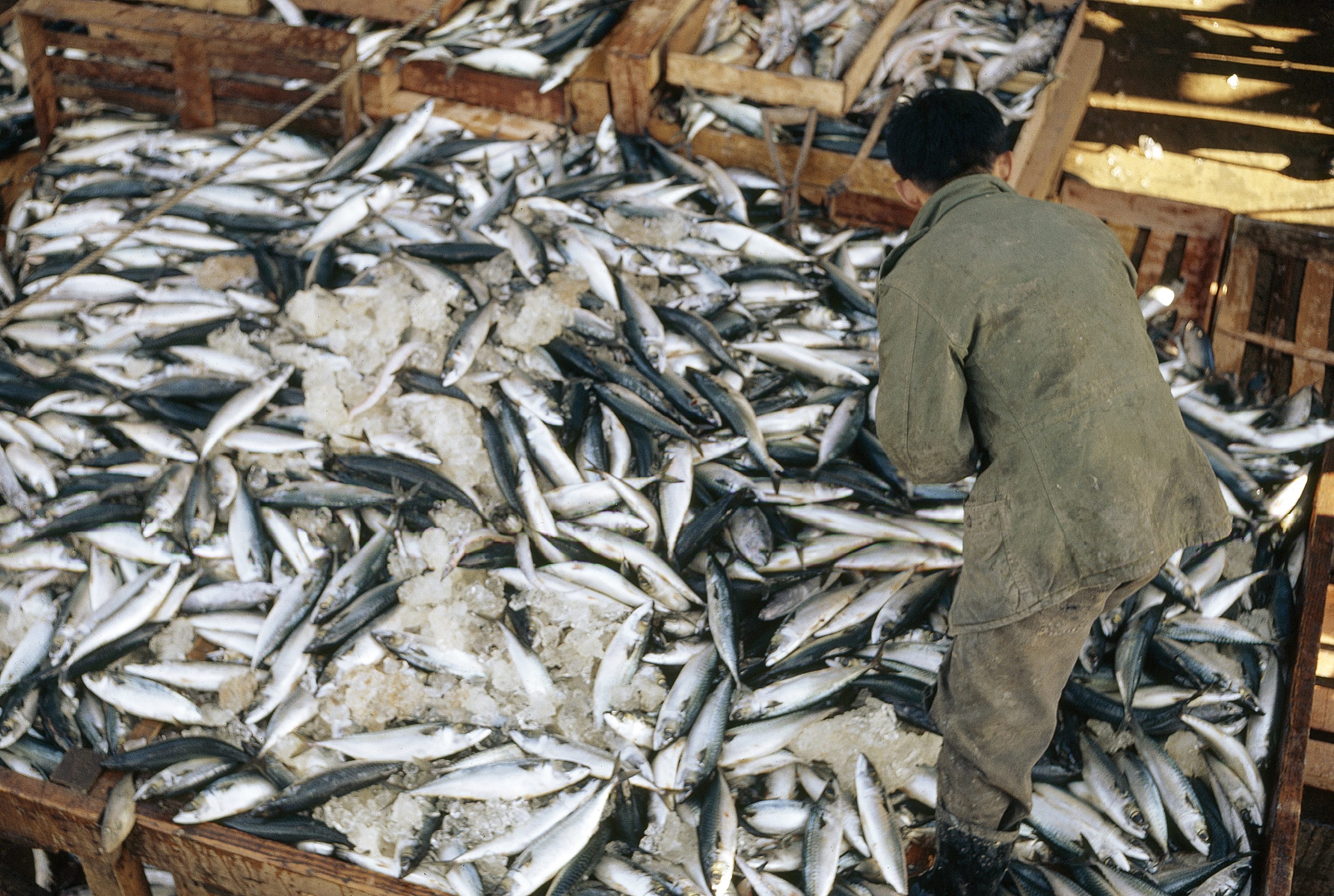 Second Phase Digital