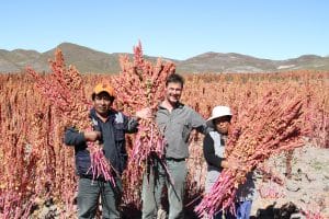EdouardRollet_CarmenRodriguez_JuanPerez_Irpani_Bolivia_AlterEco_AntoineAmbert_2014_fair_trade