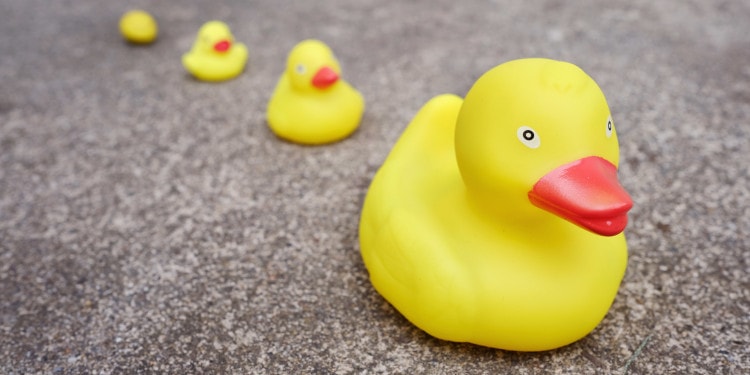 Impakter, populism, Trump