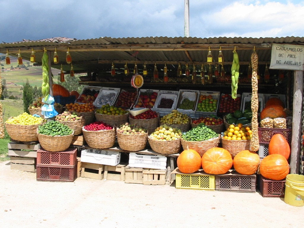 114-1476_IMG_Copy_WWF-Colombia_Luis_Germ†n_Naranjo