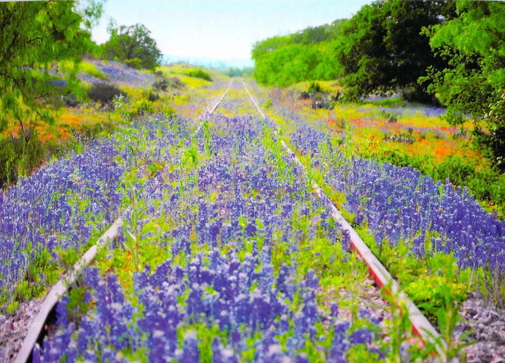 Regenerating Rome’s Urban Fabric: Interview with Nathalie Grenon