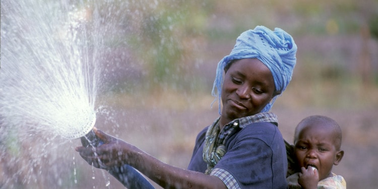 Pesticides: Women at the Forefront of Global Toxic Chemicals Threat