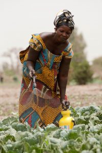 Impakter, International Women's Day, United Nations - FAO.