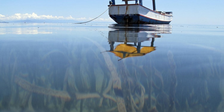 fishing-world-water-day