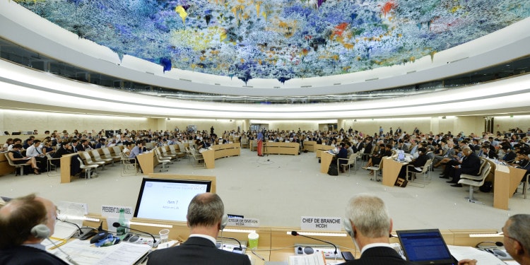 human rights, UN, Impakter