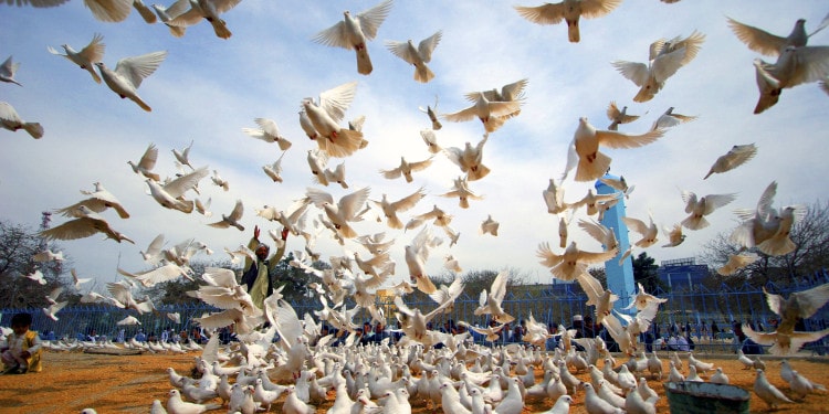 Empowering Competency: Working Toward a Just and Effective Development