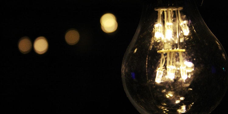 impakter, african american, future