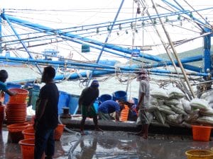 Impakter, SDG, Freedom Fund