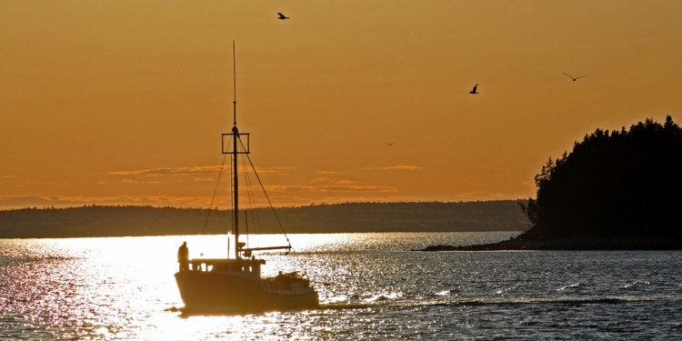 Why Deep Dive Fishing Needs Safer Standards