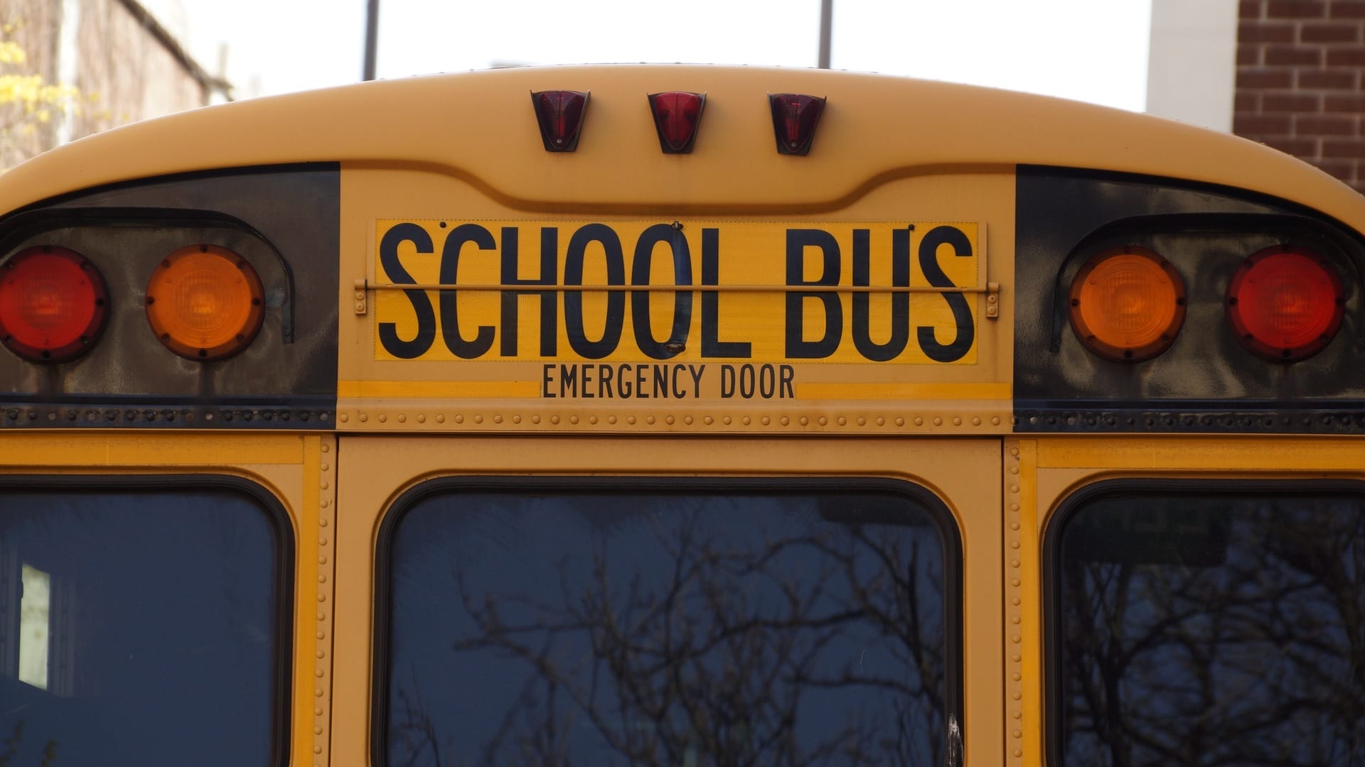 bus-school-school-bus-yellow