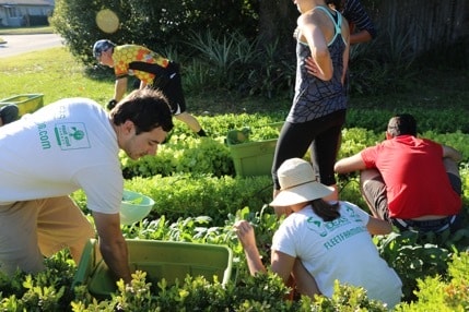 CASTRO_Fleet_Farming_achieves...SDGs_ (1)