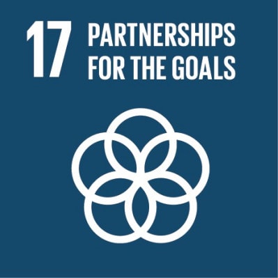 SDG-logo-17