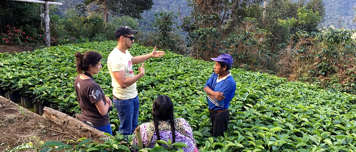 Direct trade practice Intelligentsia