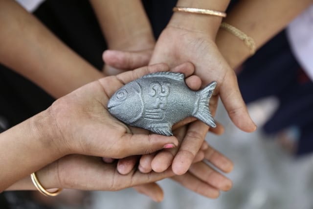 Transforming Our World: Countering Iron Deficiencies