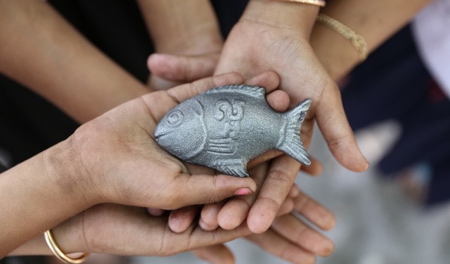 Transforming Our World: Countering Iron Deficiencies