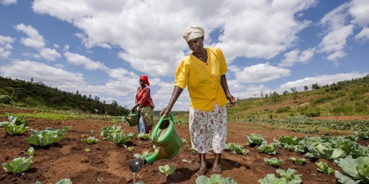 The Global Goals: Including Marginalised Women Conflict Survivors