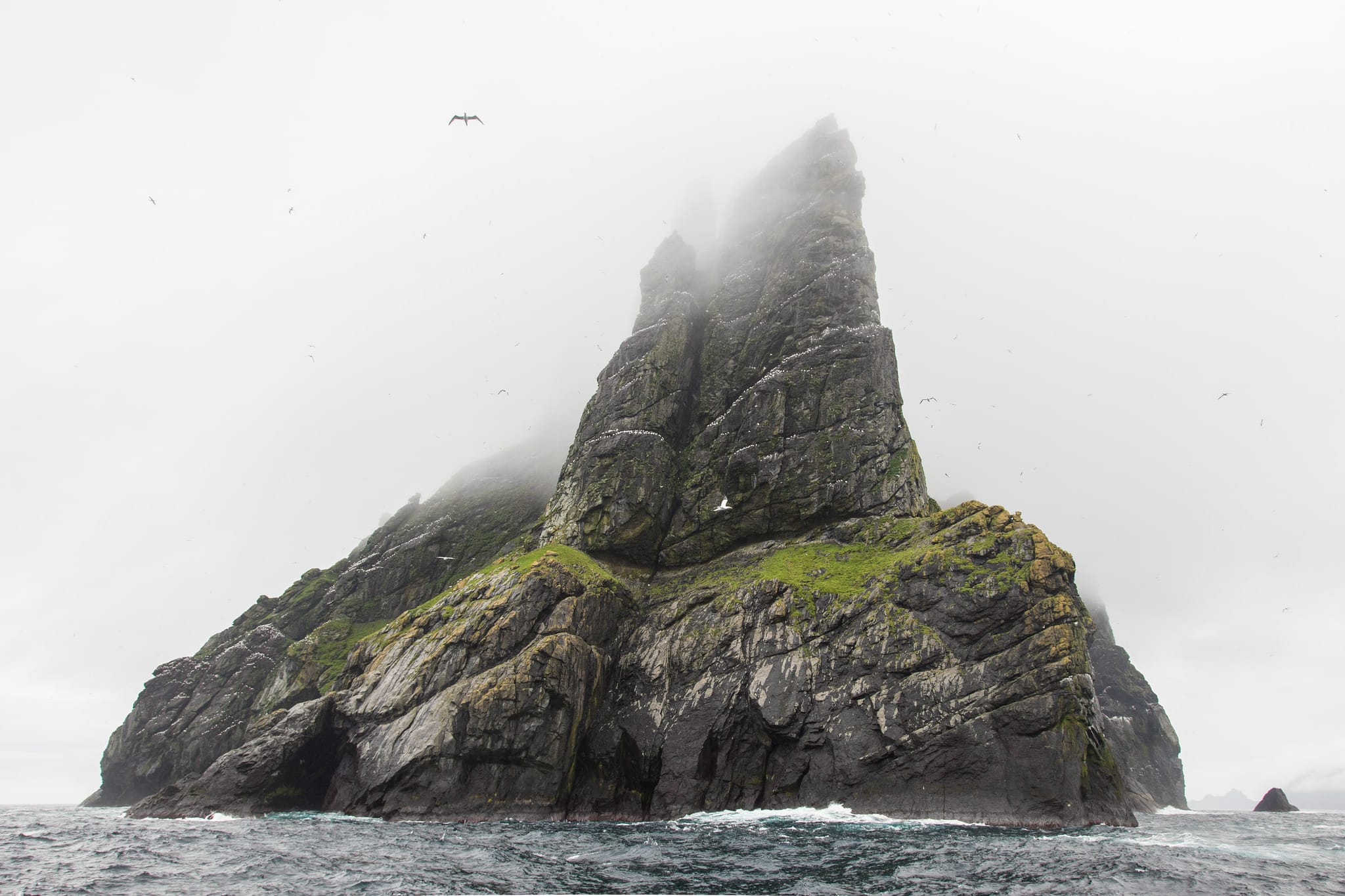 32808716845_54e0f6c256_k