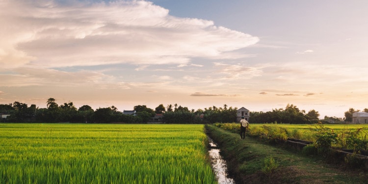 The Sustainable Accelerator, a Game Changer in Global Economy.