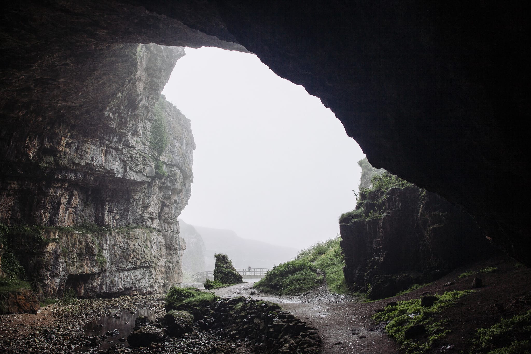 36201914886_366a9af4ee_k