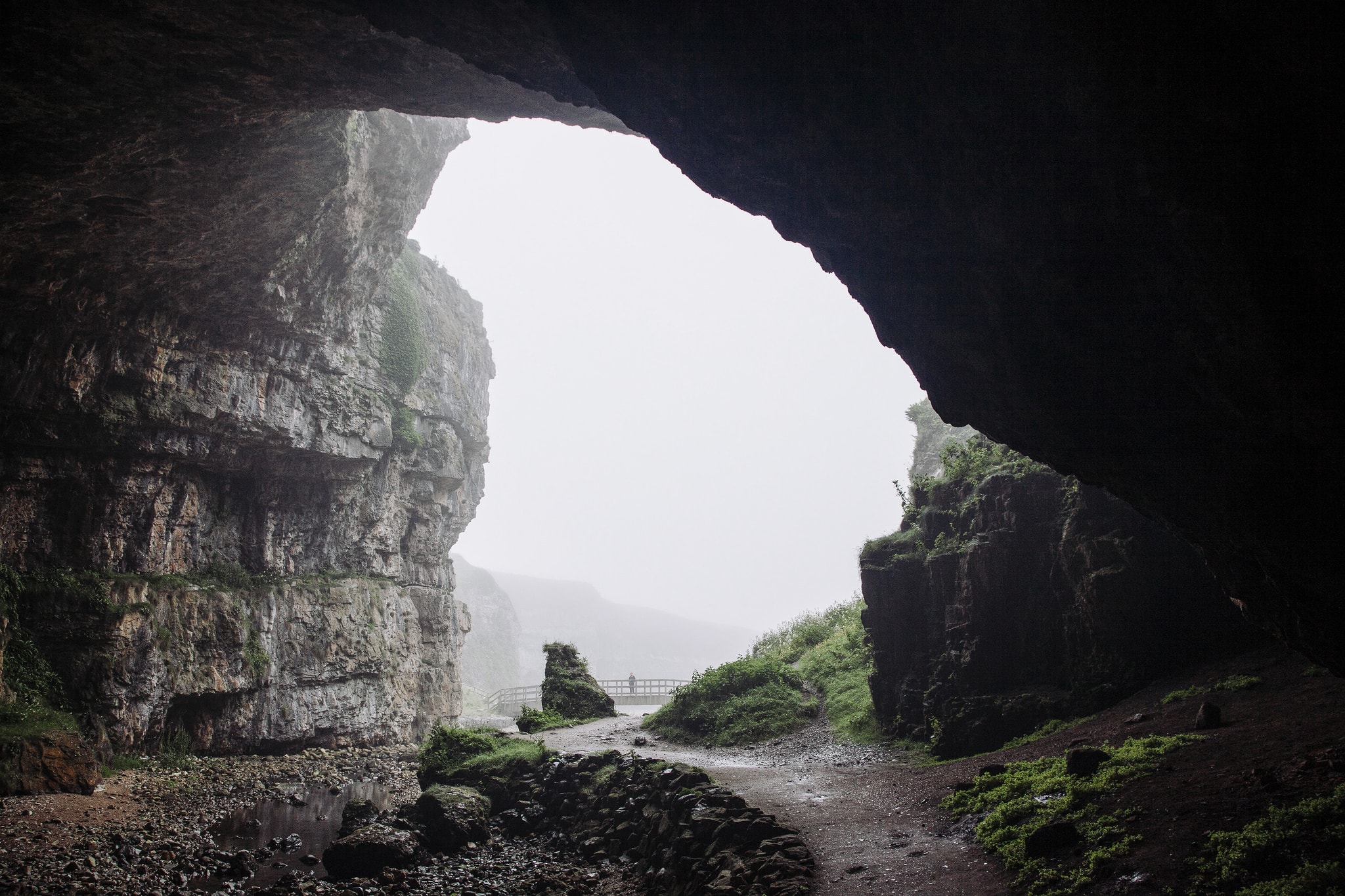 36201914886_366a9af4ee_k