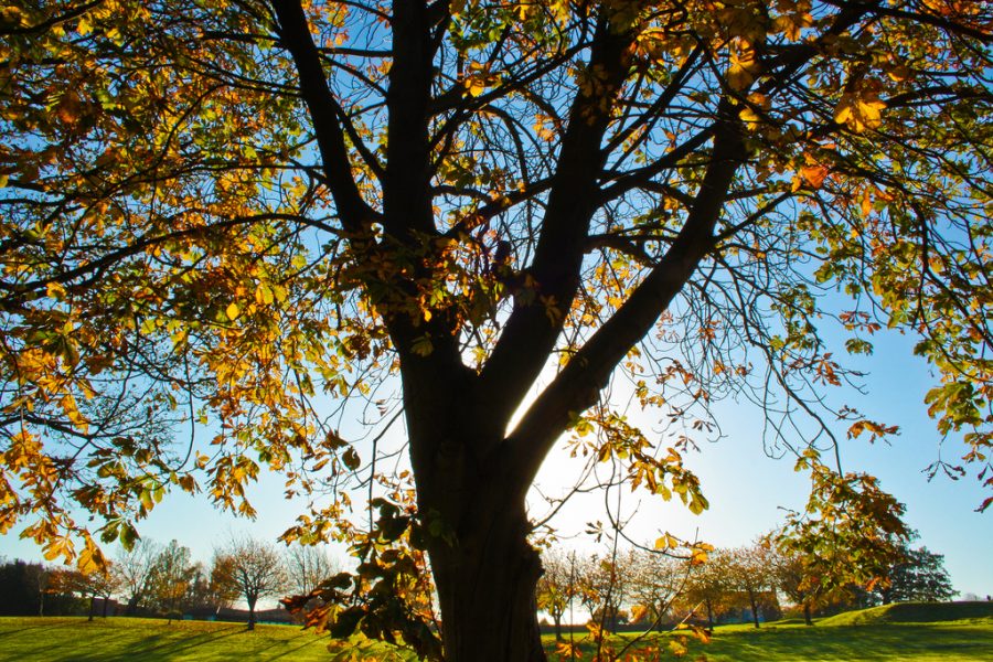 6331265673_873a932f55_b