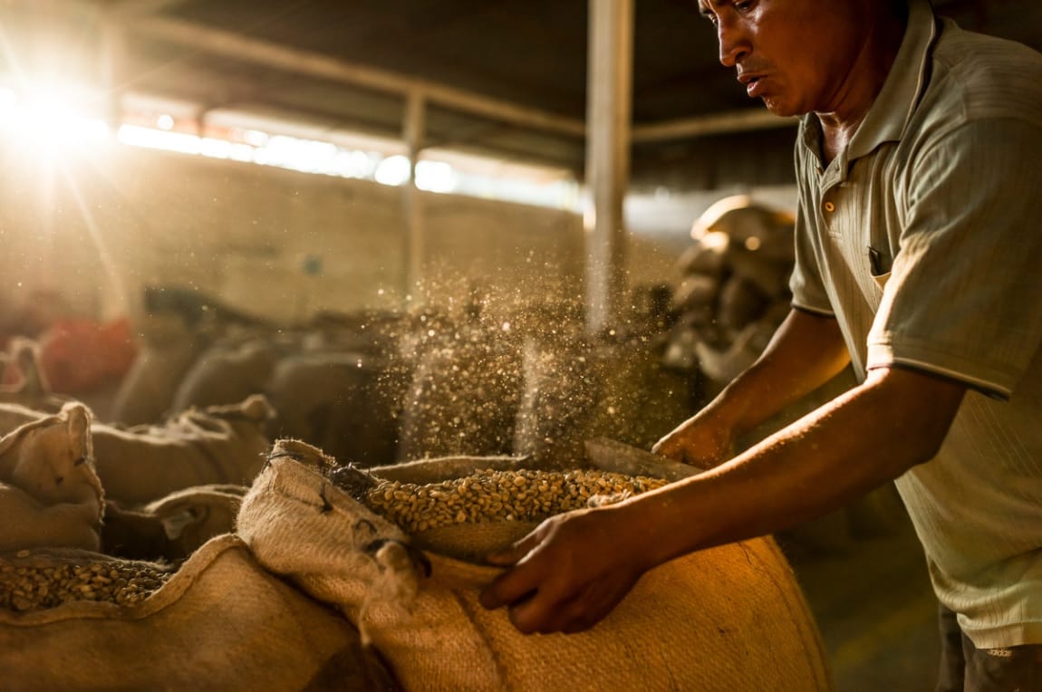 Bonaverde: Saving the planet one cup of coffee at a time
